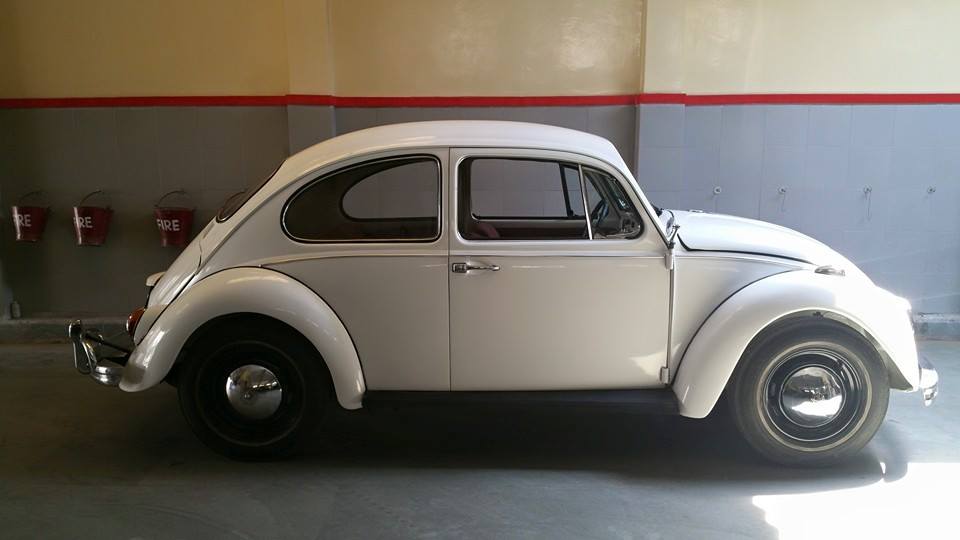 11038994_738284019626275_1066640921778060364_n